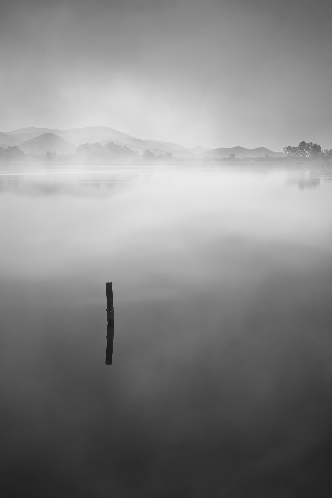 Forma Absentiae — Image 5
