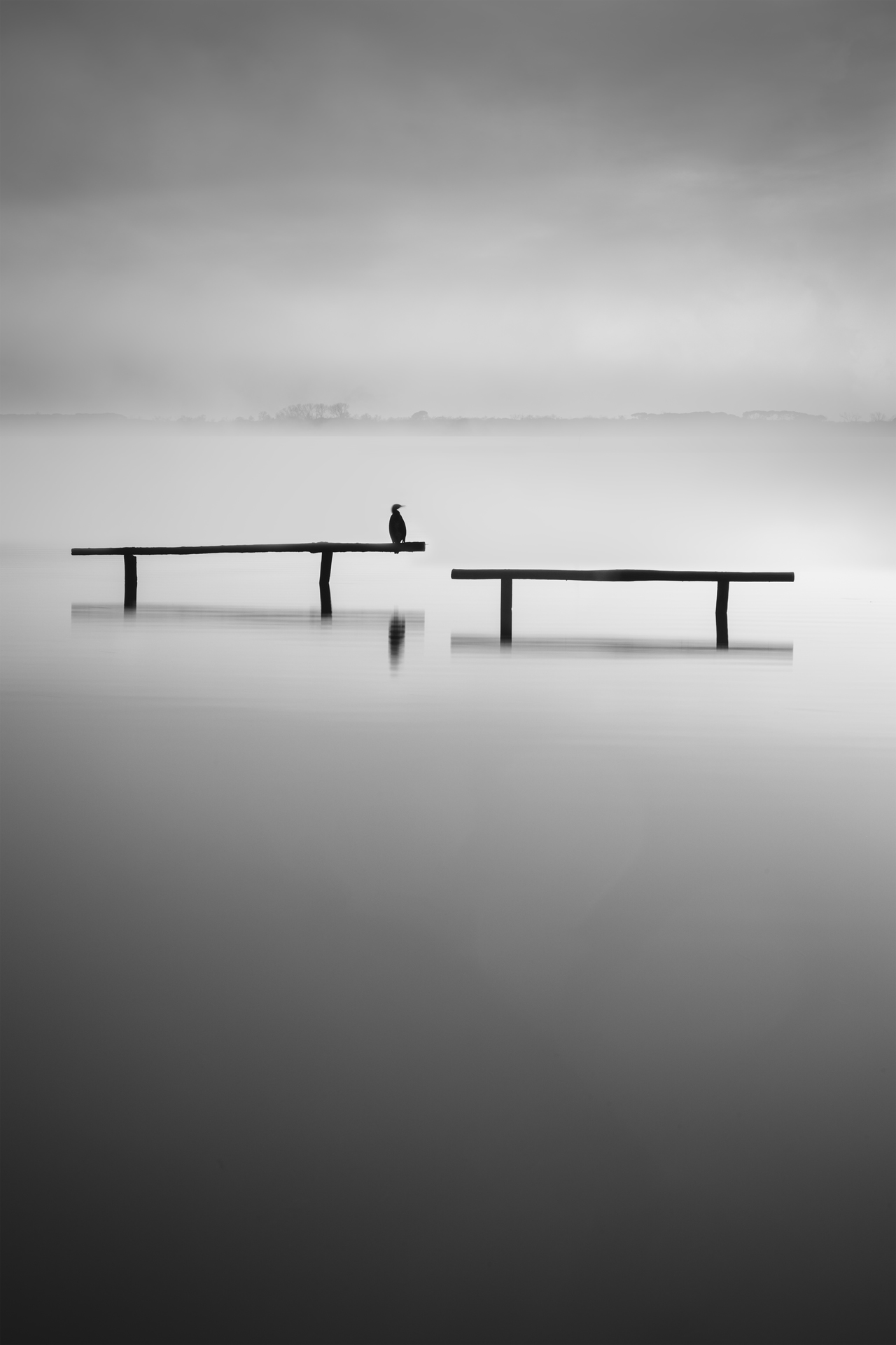 Forma Absentiae — Image 8