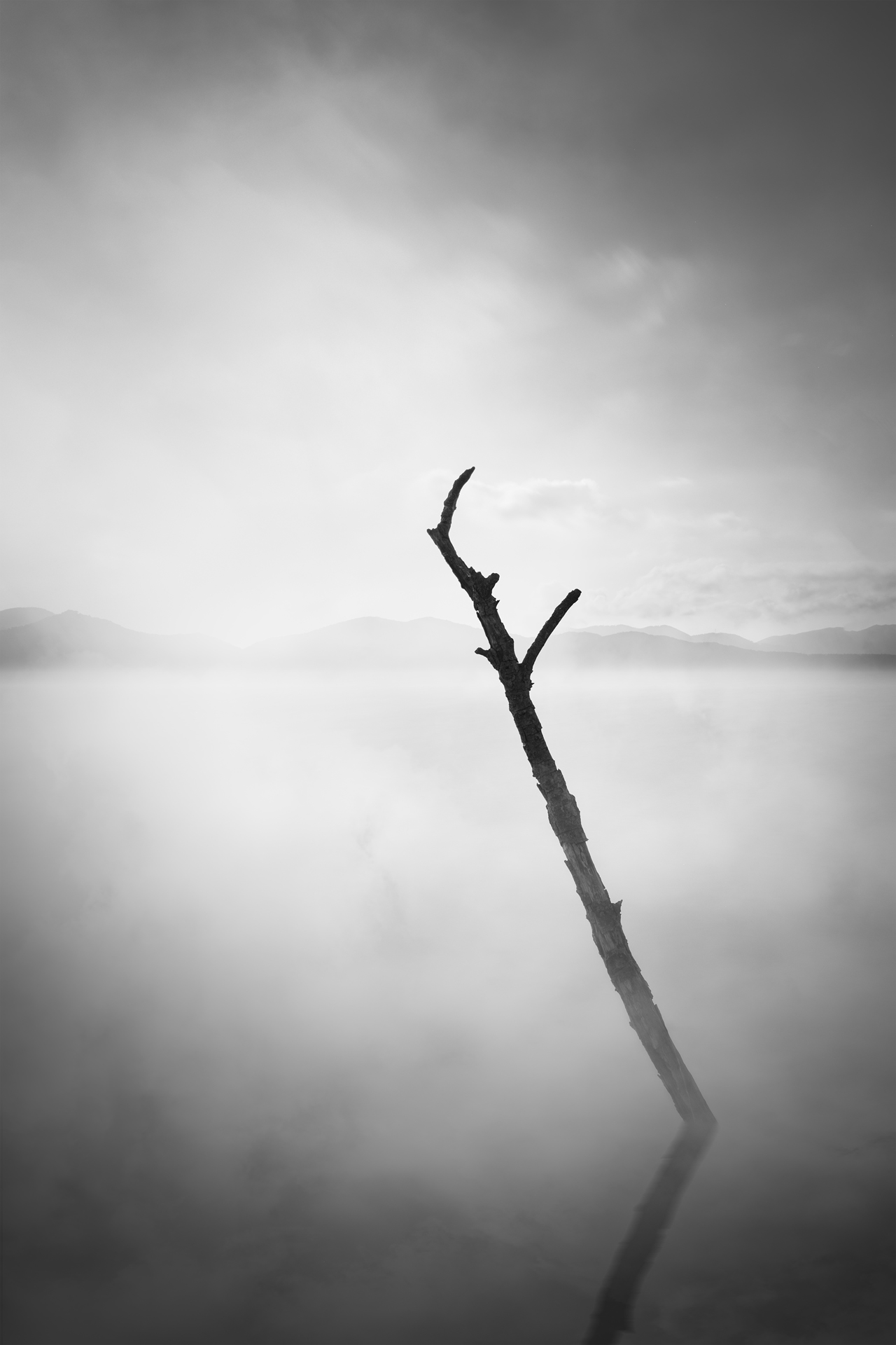 Forma Absentiae — Image 6