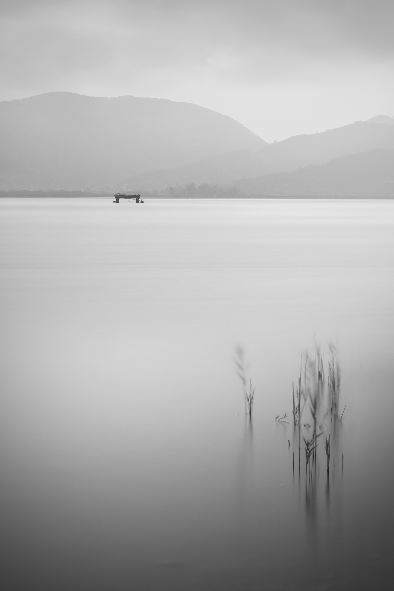 Forma Absentiae — Image 8