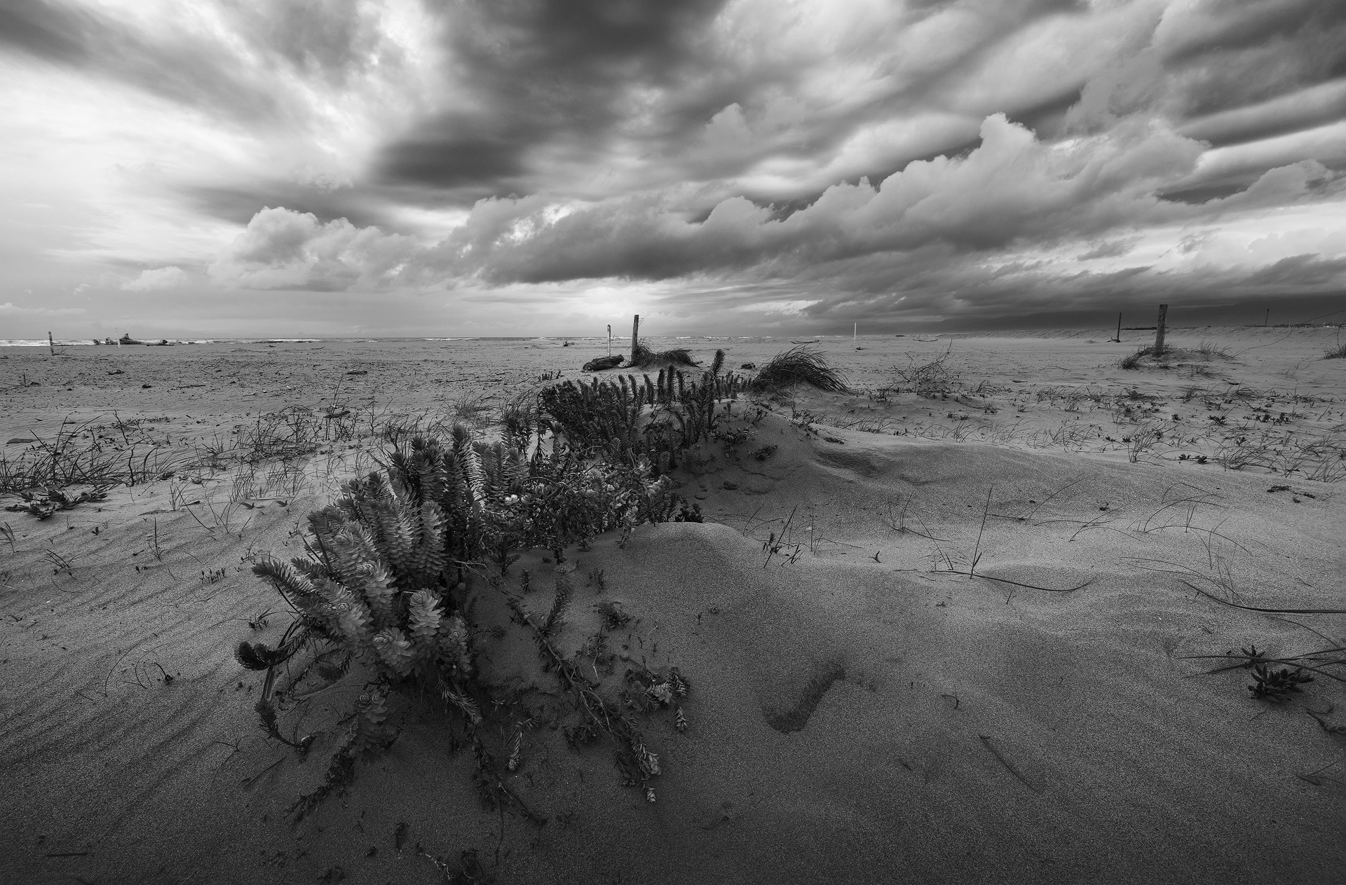 fotografia paesaggistica in bianco e nero, dune di sabbia, cielo tempestoso, paesaggi drammatici, vento sulla spiaggia, fotografia minimalista, natura selvaggia, fotografia fine art.