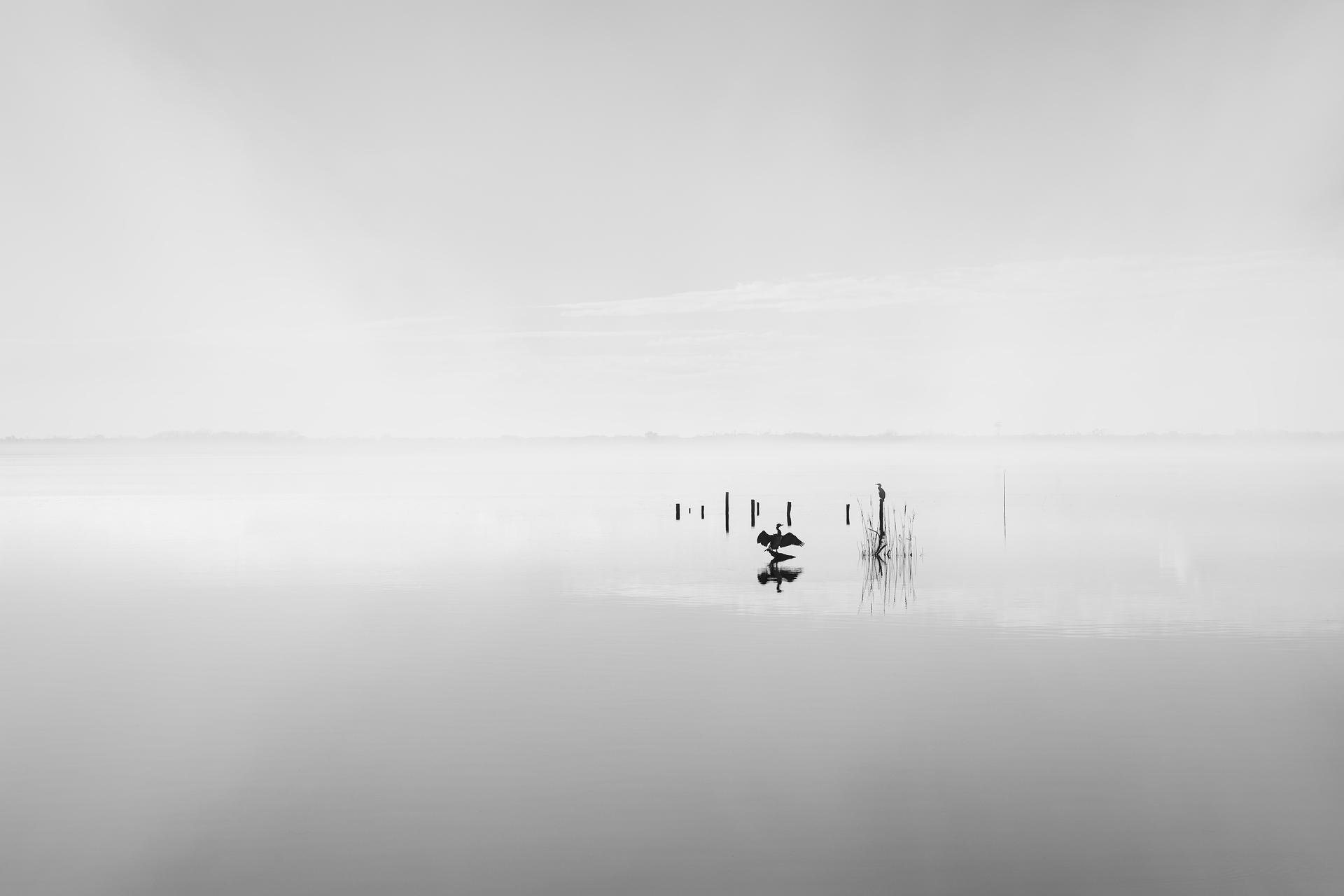 Aequilibrium Suspensum — Image 6