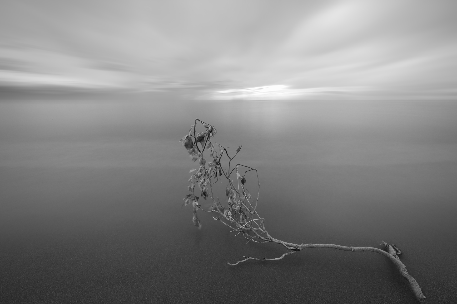 Aequilibrium Suspensum — Image 12