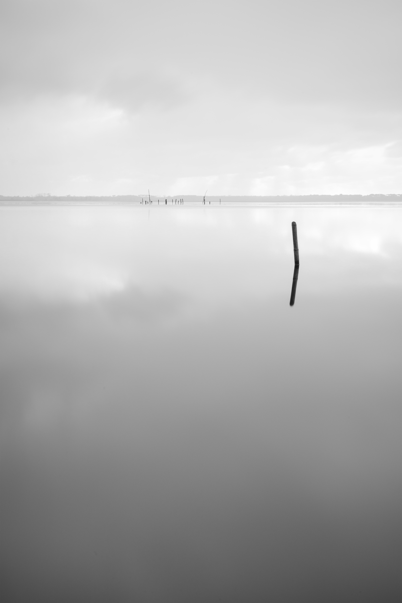 Absentia — Image 2