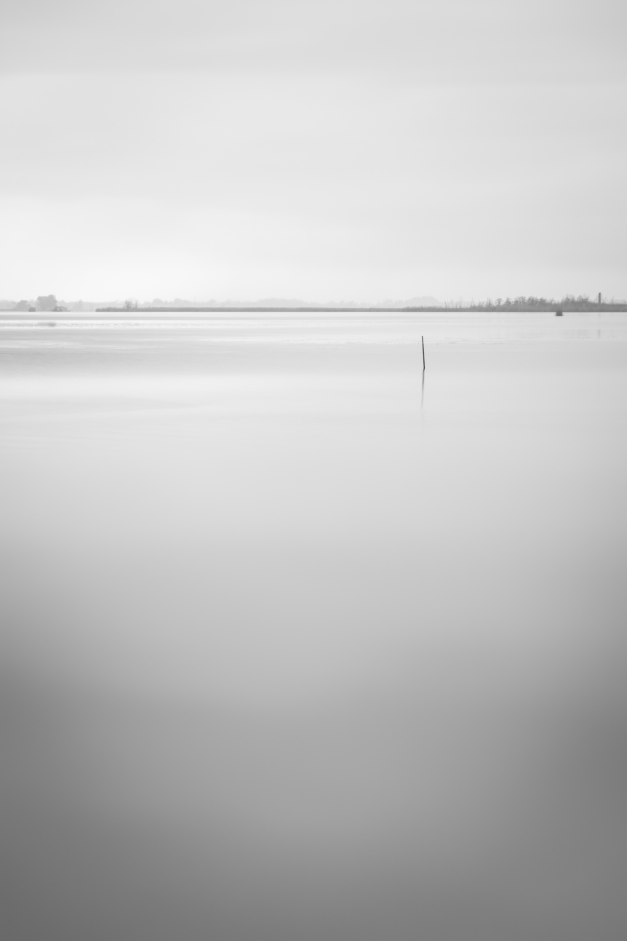 Absentia — Image 3