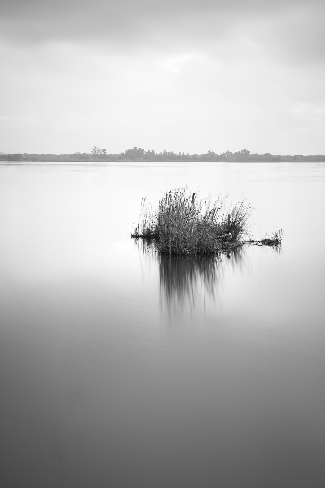 Aequilibrium Suspensum — Image 8