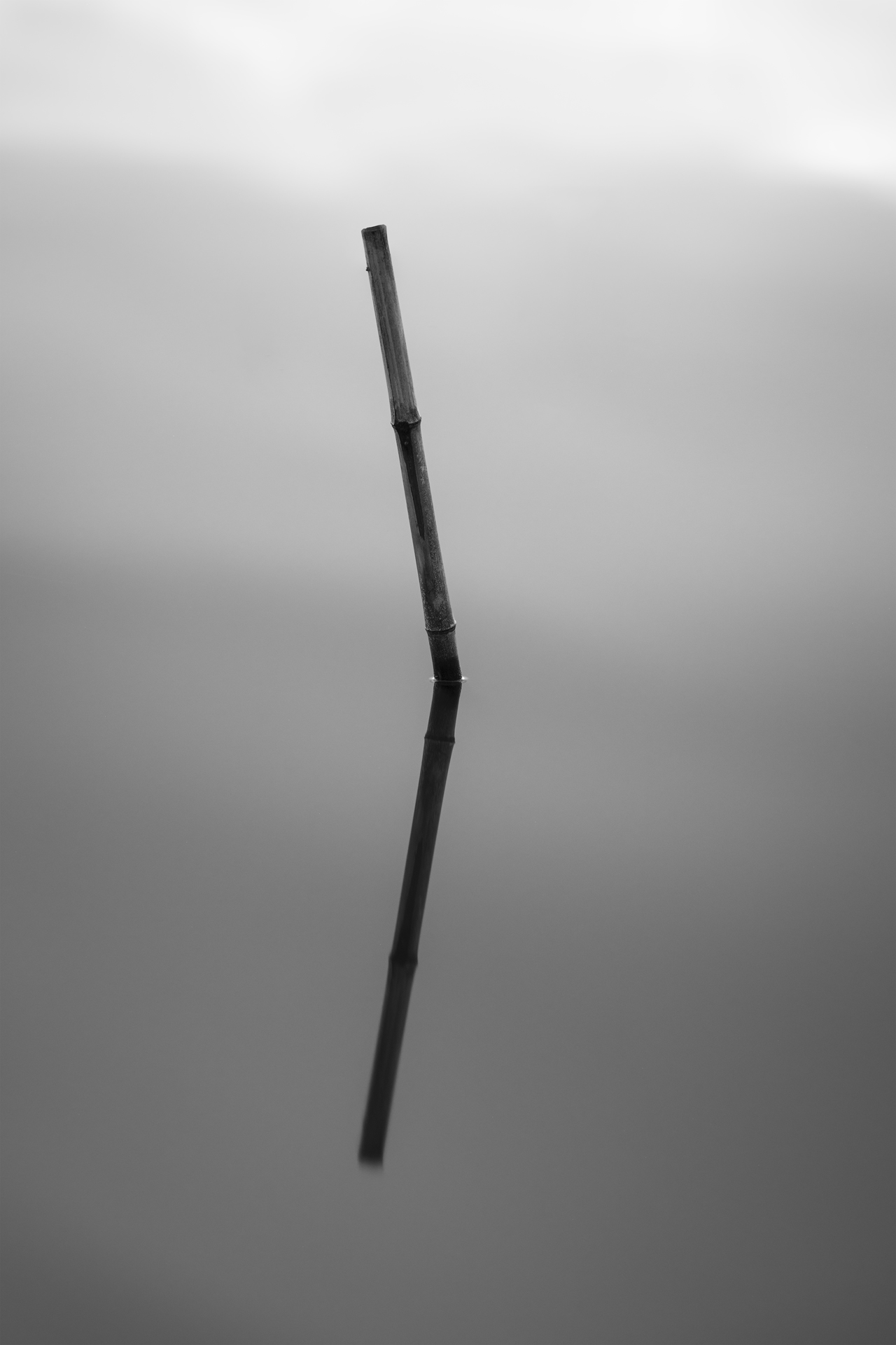 Aequilibrium Suspensum — Image 8