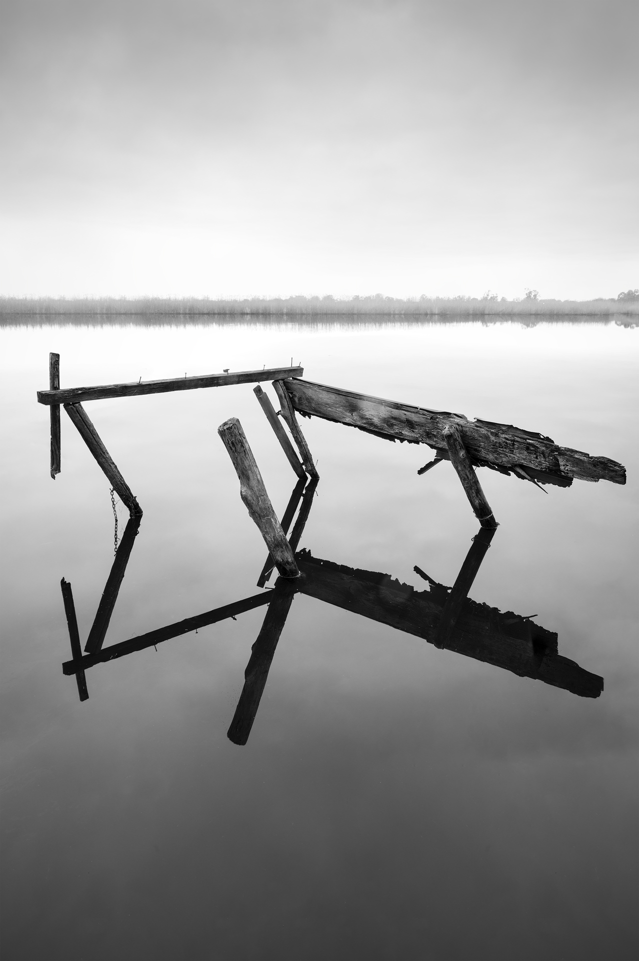 Absentia — Image 4