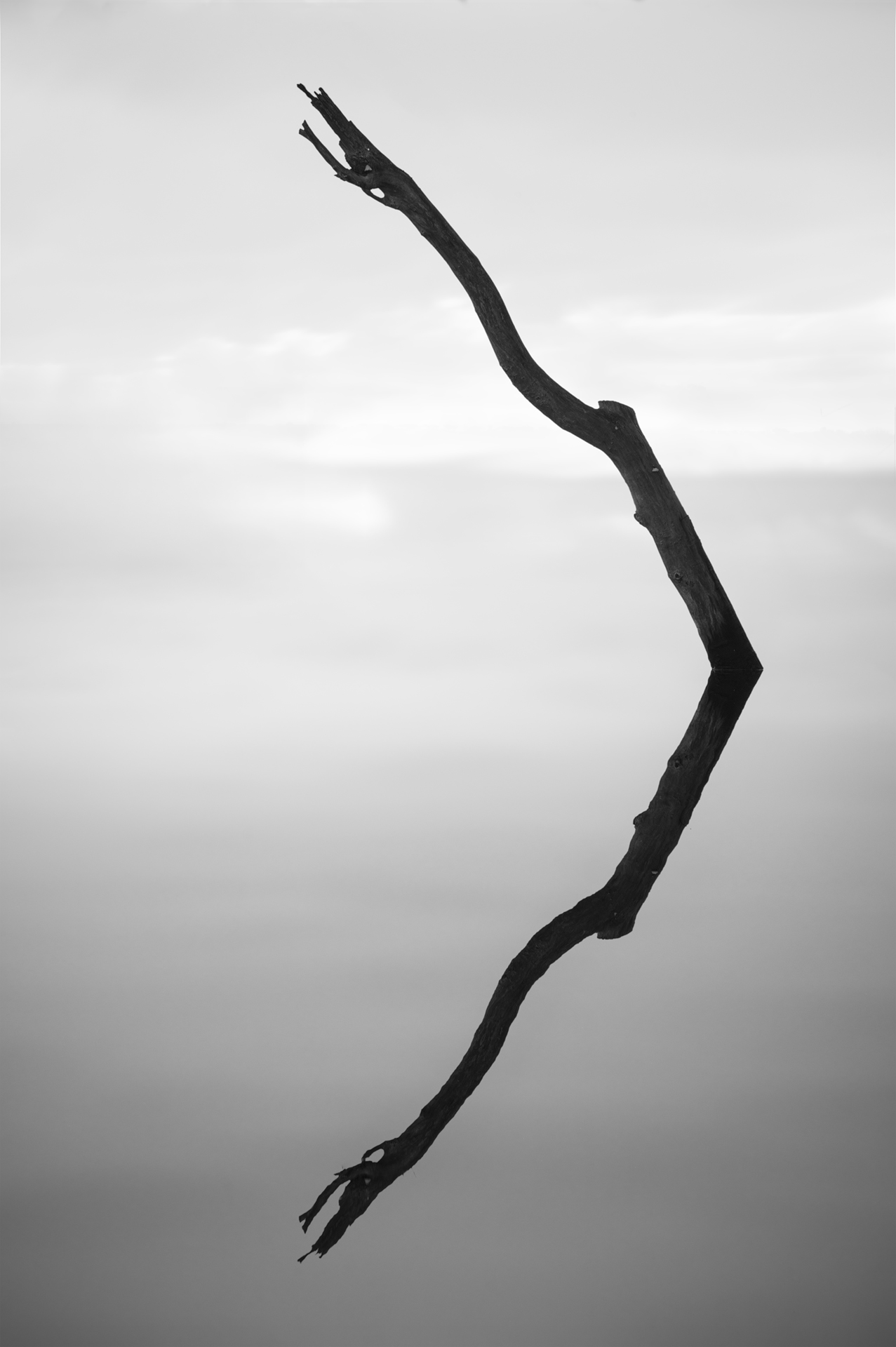 Absentia — Image 4