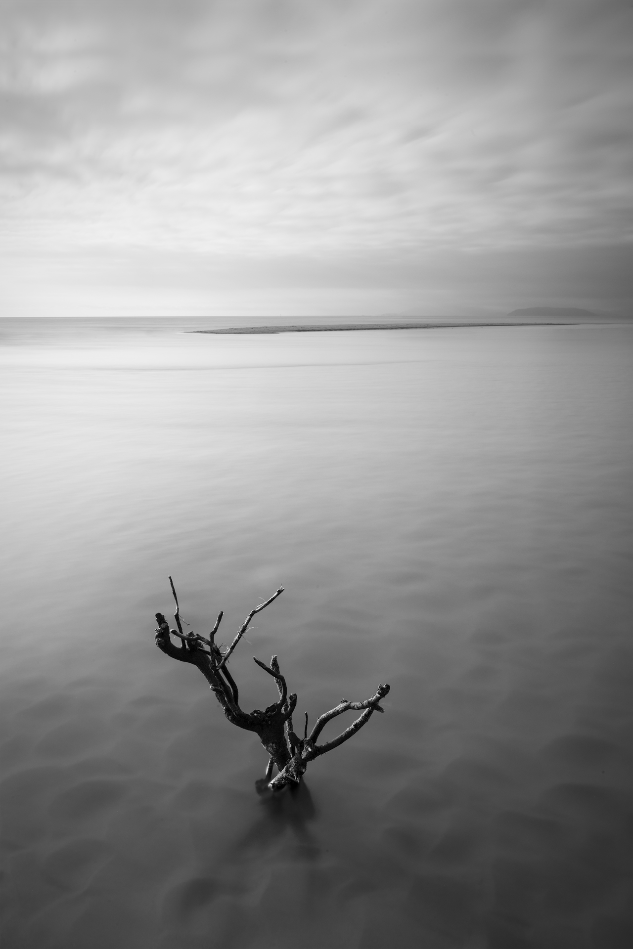 Absentia — Image 4