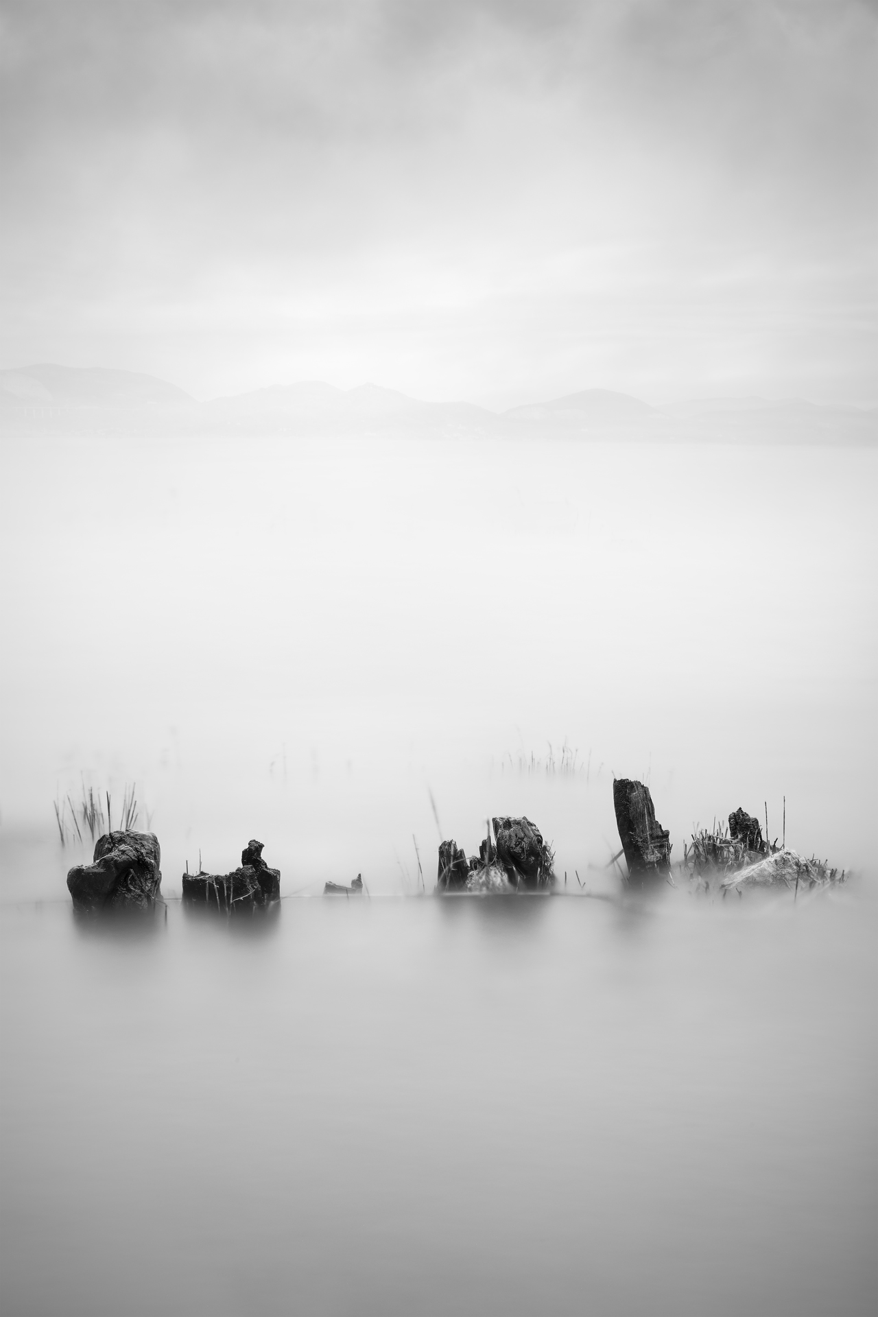 Absentia — Image 4