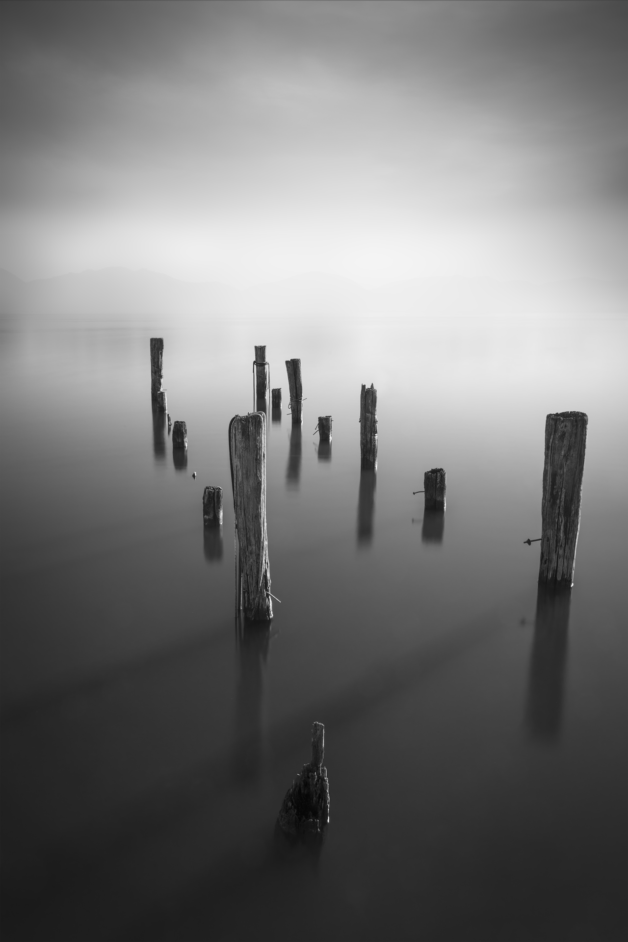 Forma Absentiae — Image 4