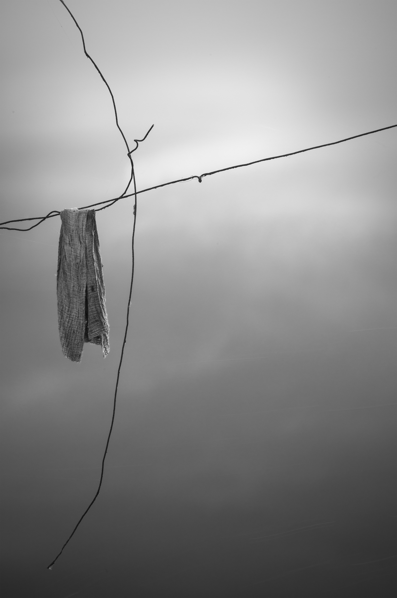 Forma Absentiae — Image 4