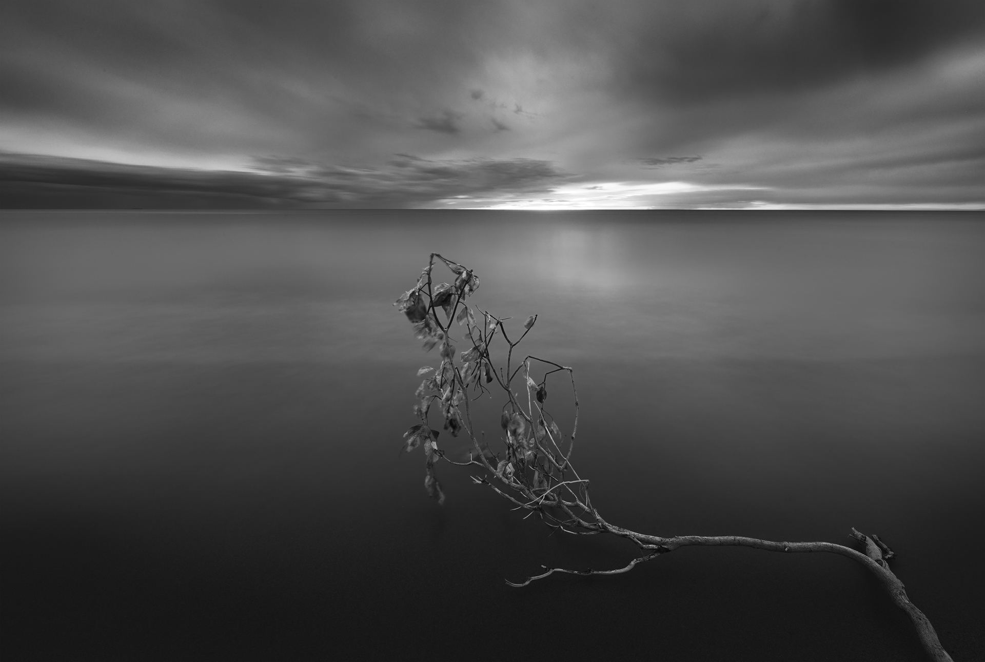 fotografia minimalista, paesaggio in bianco e nero, lunga esposizione, ramo nell'acqua, fotografia d’atmosfera, immagini evocative