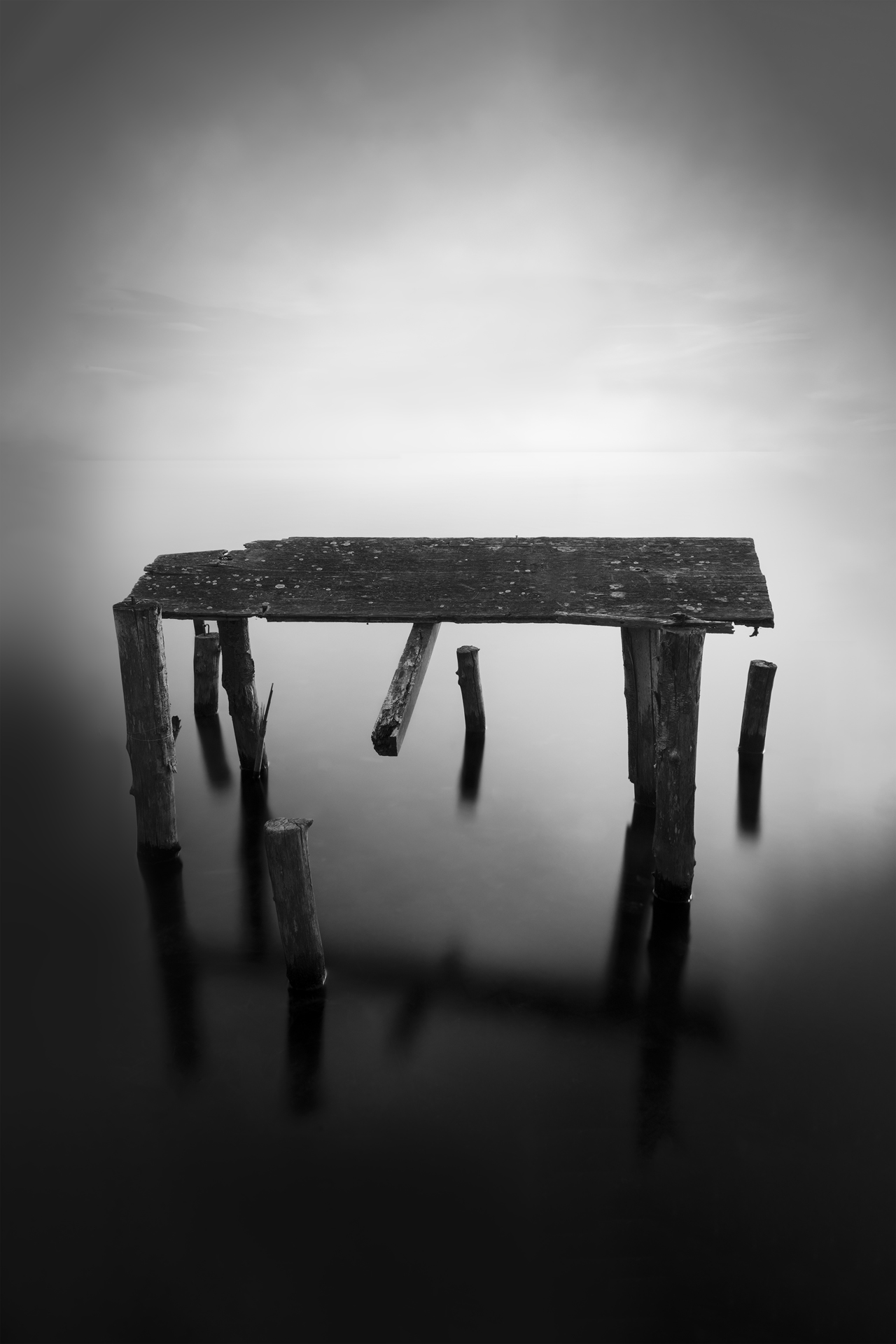 Forma Absentiae — Image 6