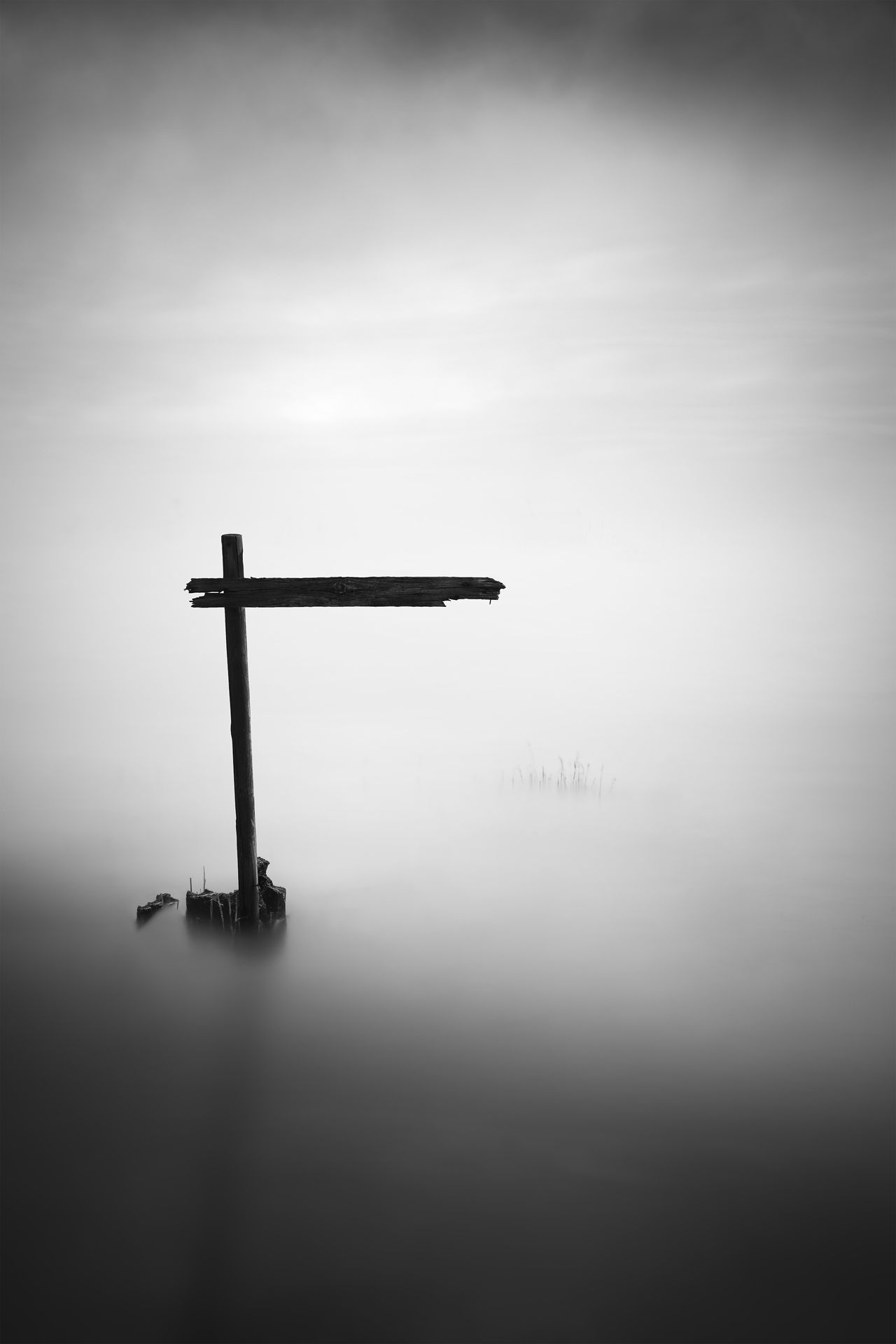 Forma Absentiae — Image 5