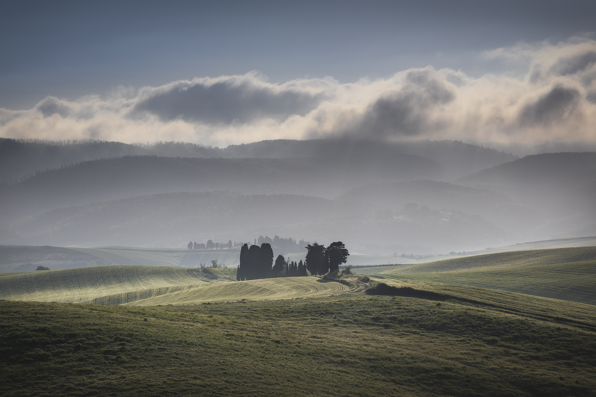 Colline toscane avvolte dalla foschia mattutina con cipressi in controluce, fotografate nei pressi di Orciano Pisano, via delle Mandriacce
