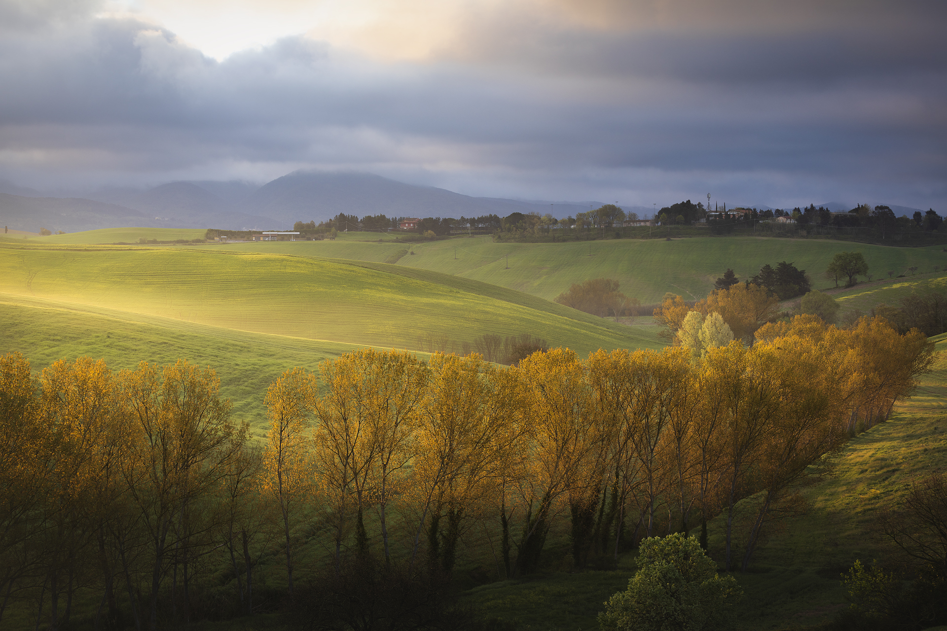 Alberi dorati illuminati dalla luce dell’alba sulle colline di Orciano Pisano, via delle Mandriacce, con nuvole e campi verdi