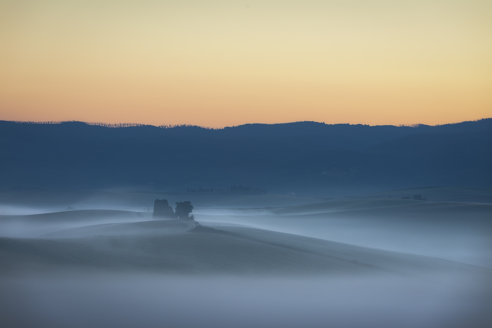 Paesaggio mattutino immerso nella nebbia, colline dolci e alberi allineati lungo via delle Mandriacce a Orciano Pisano, Pisa, Italia, sotto un cielo dorato all’alba.