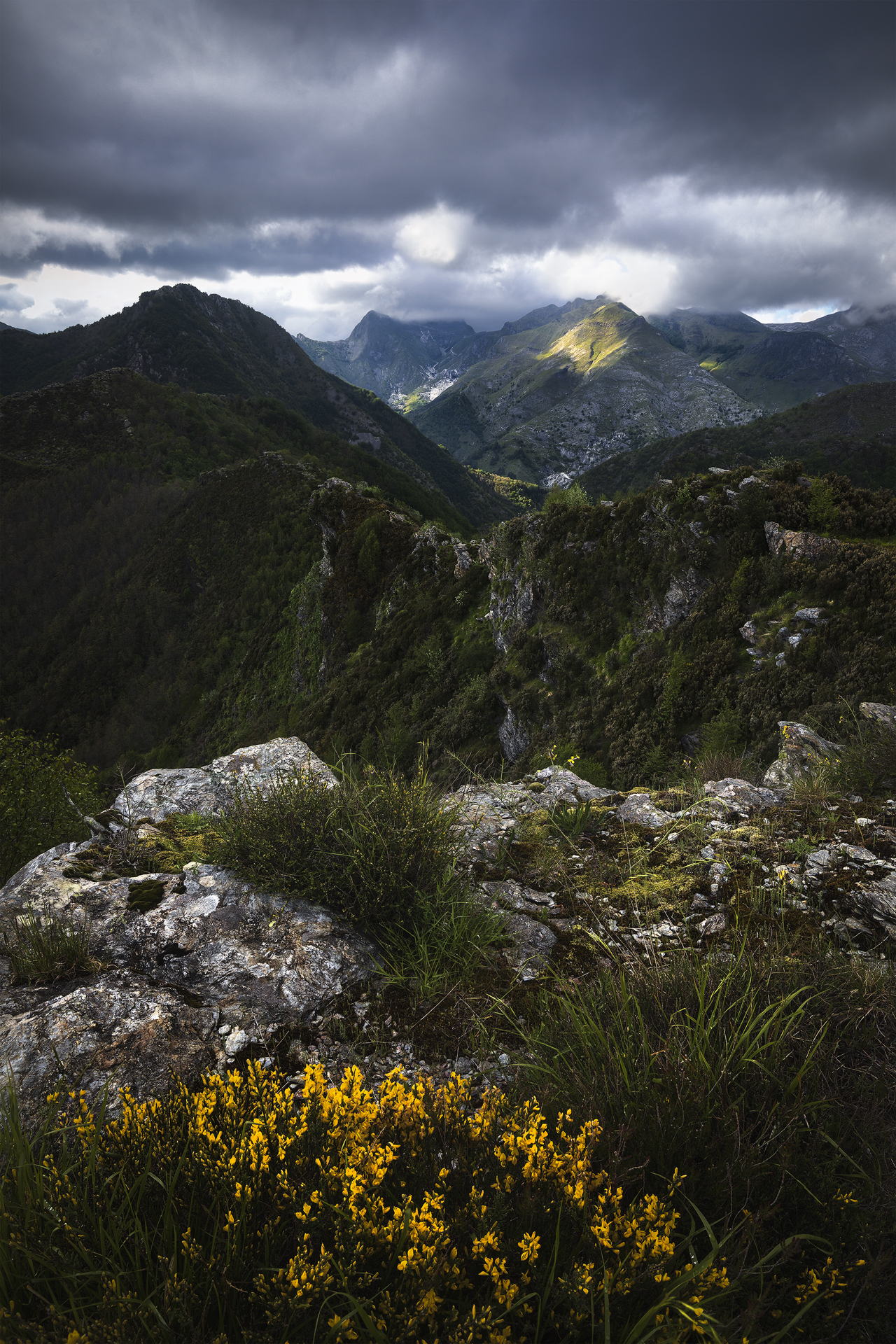 Paesaggio montano al Passo di Croce (Terrinca, LU), con cielo nuvoloso, luce che illumina la cima di una montagna sullo sfondo, rocce e fiori gialli in primo piano.