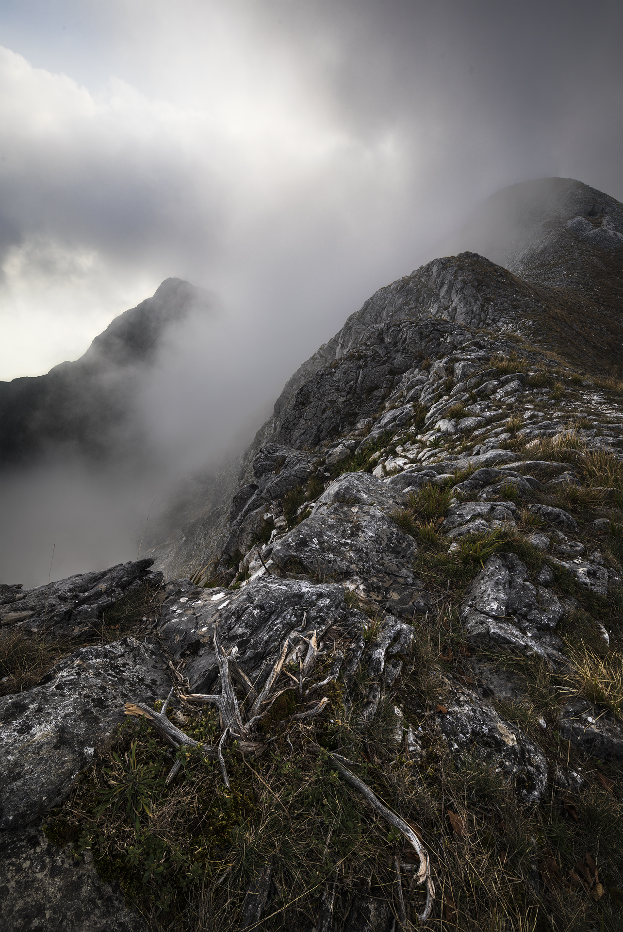 Cresta rocciosa nella nebbia a Foce la Faggiola, primo piano con radici e rocce nitide, controluce morbido, focus stacking + exposure blending, Canon 16–35 a 16mm.